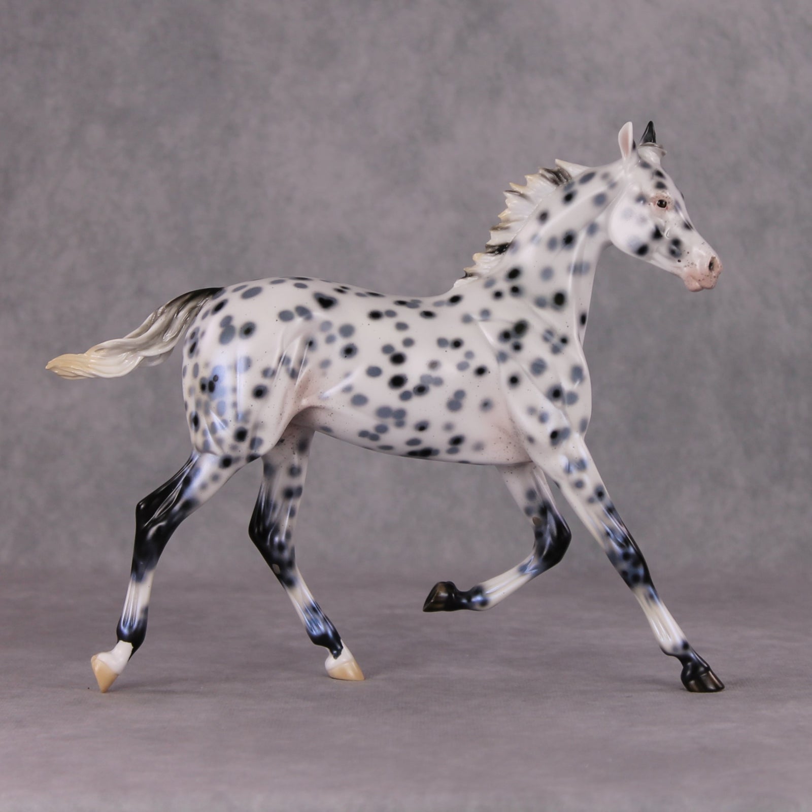 Black Ice OOAK Black Leopard Appaloosa Yearling By Ellen Robbins HS24