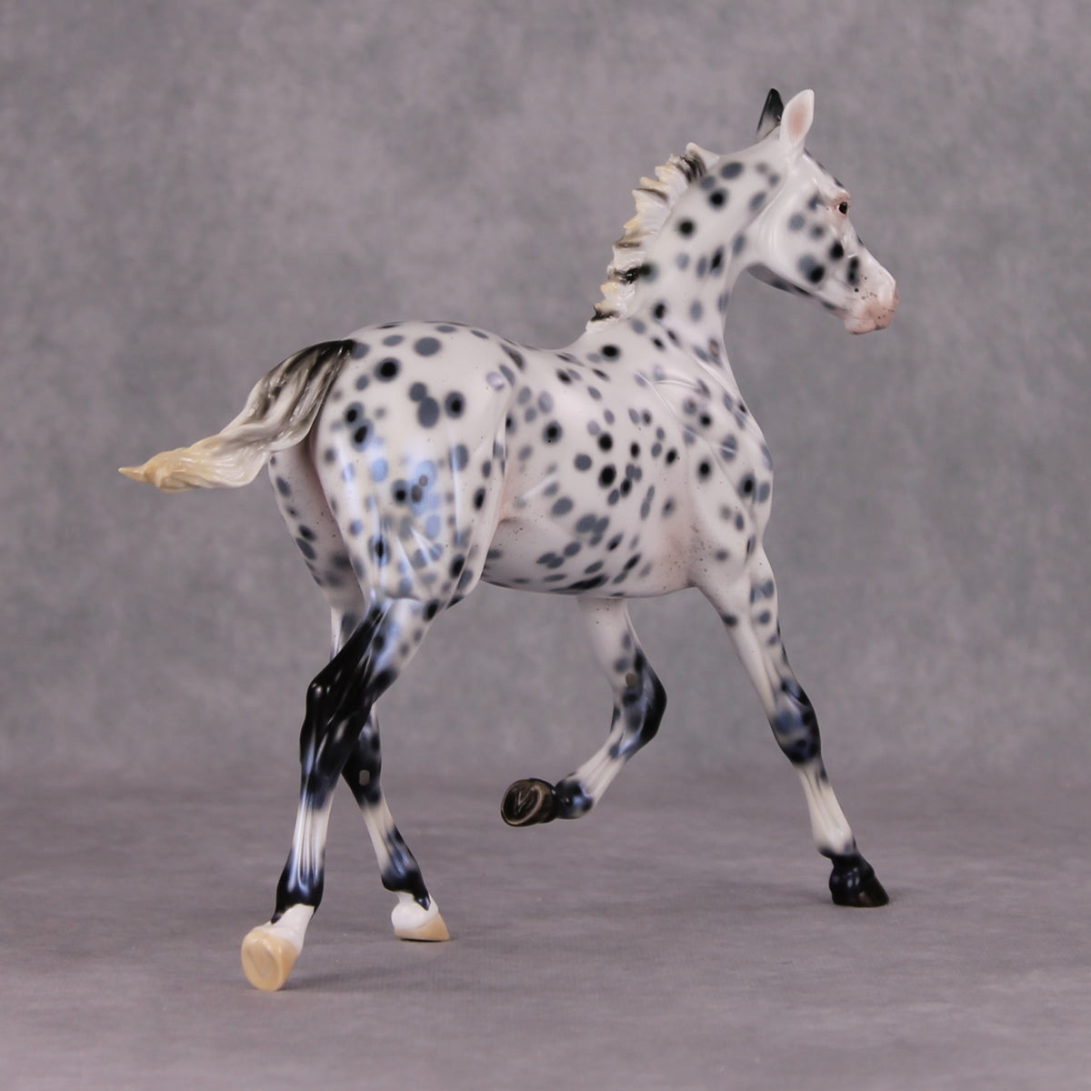 Black Ice OOAK Black Leopard Appaloosa Yearling By Ellen Robbins HS24
