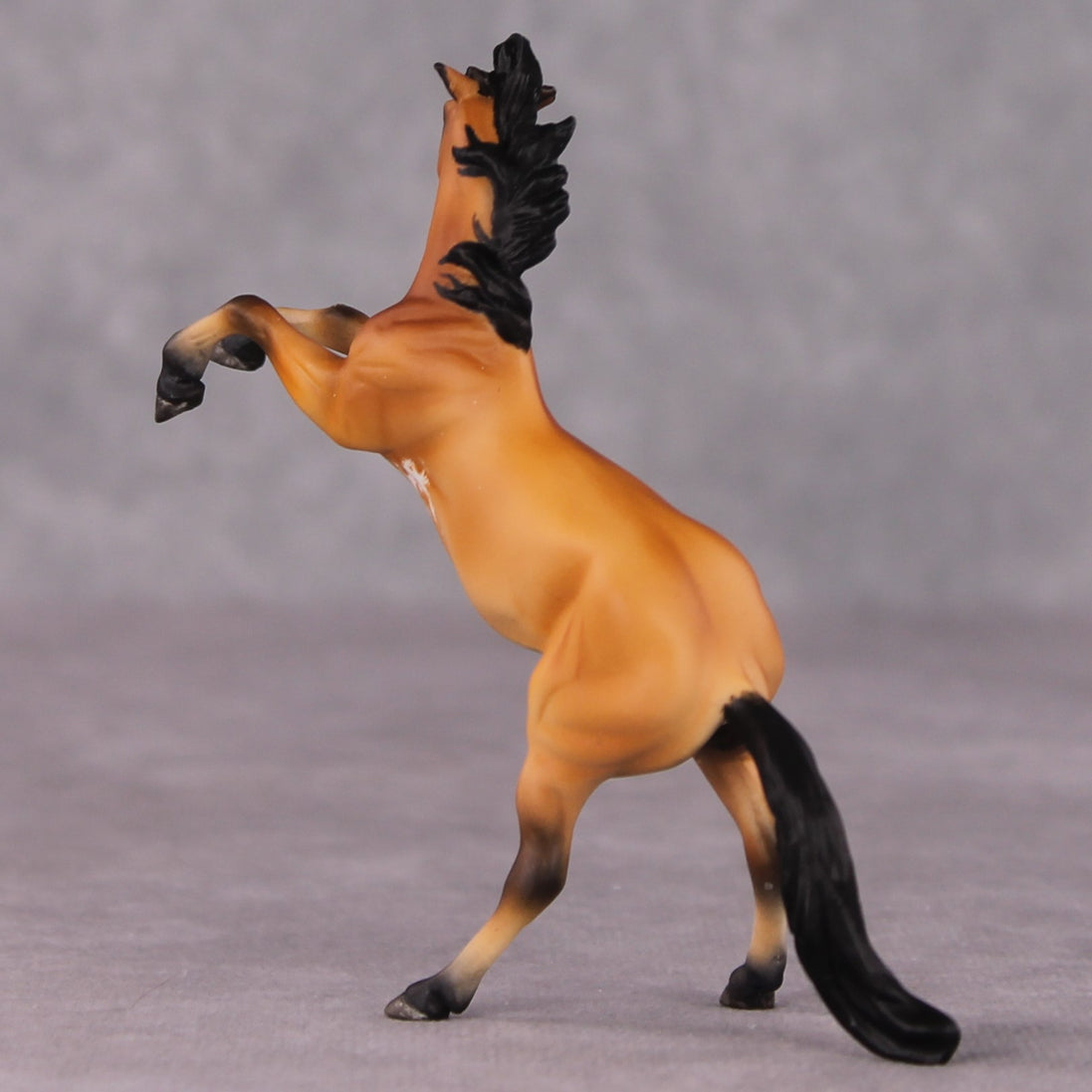 "Fang" OOAK Rearing Chip By Maggie Jenner-Bennett