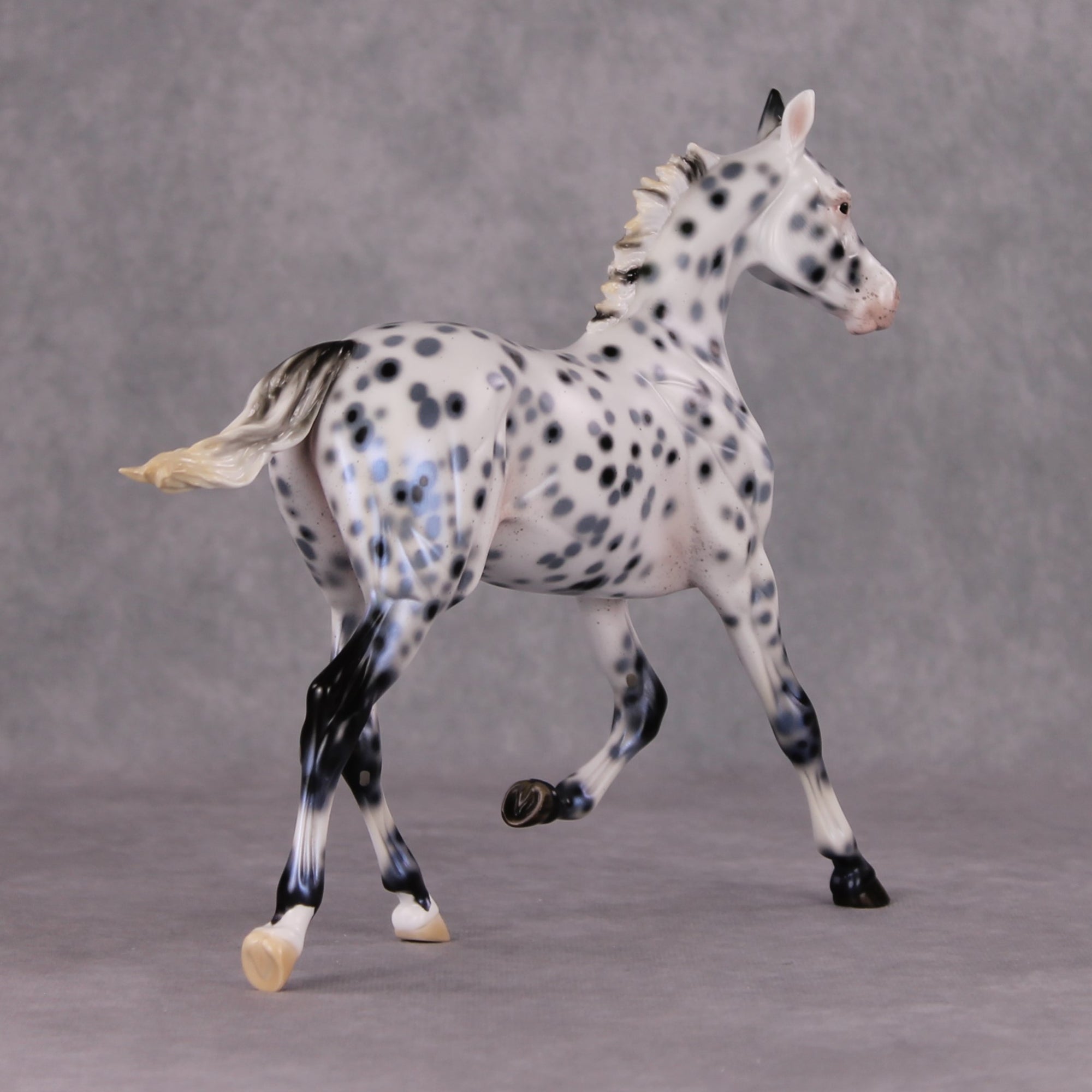 Black Ice OOAK Black Leopard Appaloosa Yearling By Ellen Robbins HS24