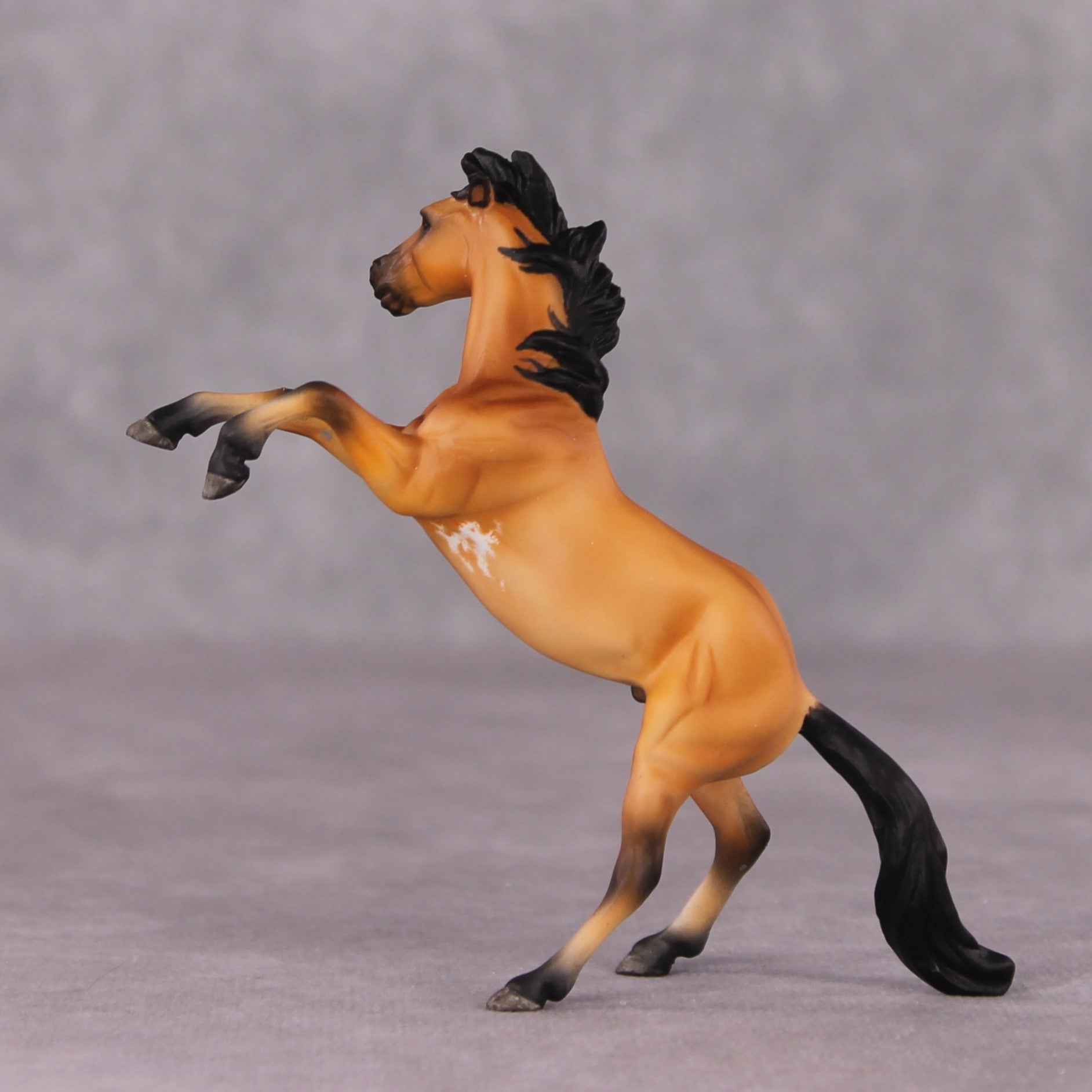 "Fang" OOAK Rearing Chip By Maggie Jenner-Bennett