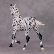 Black Ice OOAK Black Leopard Appaloosa Yearling By Ellen Robbins HS24
