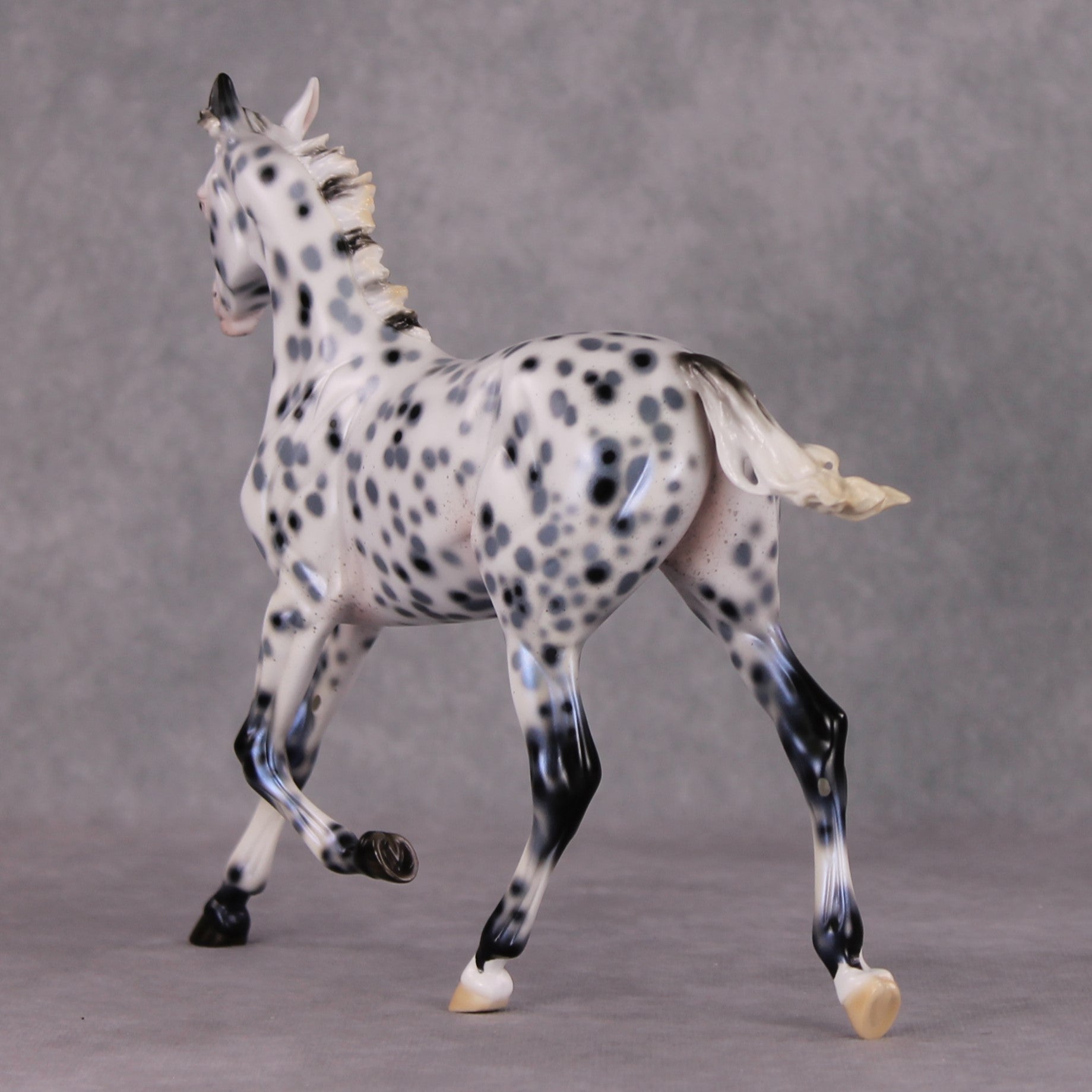 Black Ice OOAK Black Leopard Appaloosa Yearling By Ellen Robbins HS24