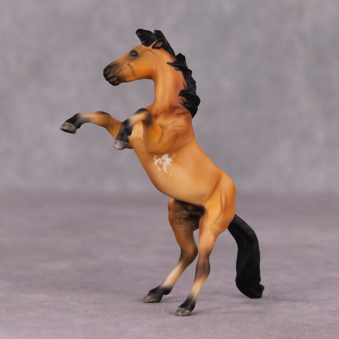 "Fang" OOAK Rearing Chip By Maggie Jenner-Bennett