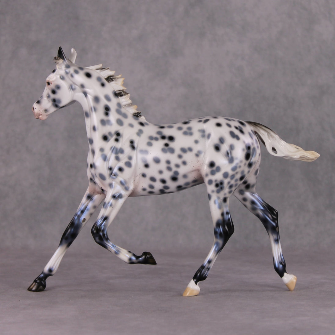 Black Ice OOAK Black Leopard Appaloosa Yearling By Ellen Robbins HS24