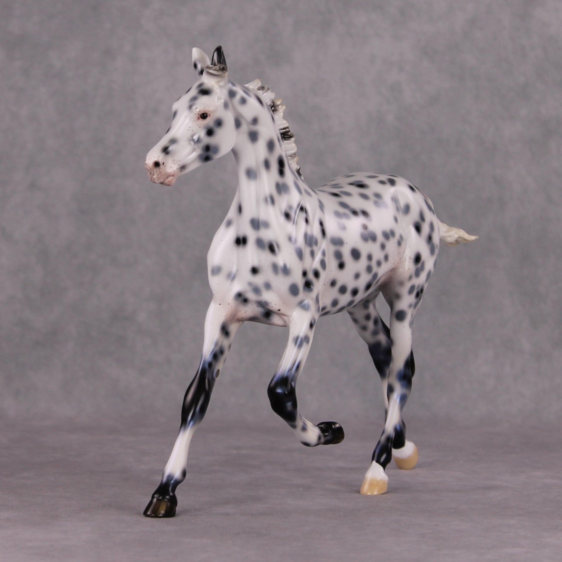 Black Ice OOAK Black Leopard Appaloosa Yearling By Ellen Robbins HS24