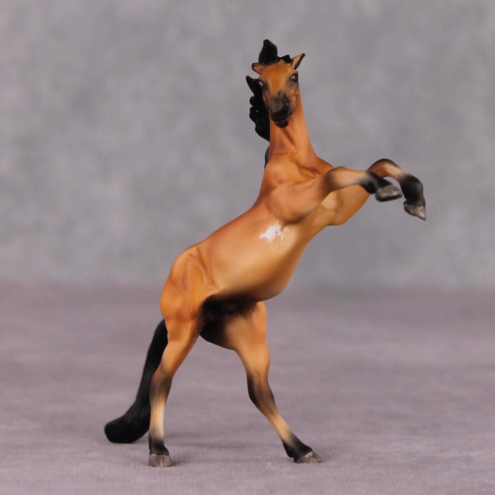 "Fang" OOAK Rearing Chip By Maggie Jenner-Bennett