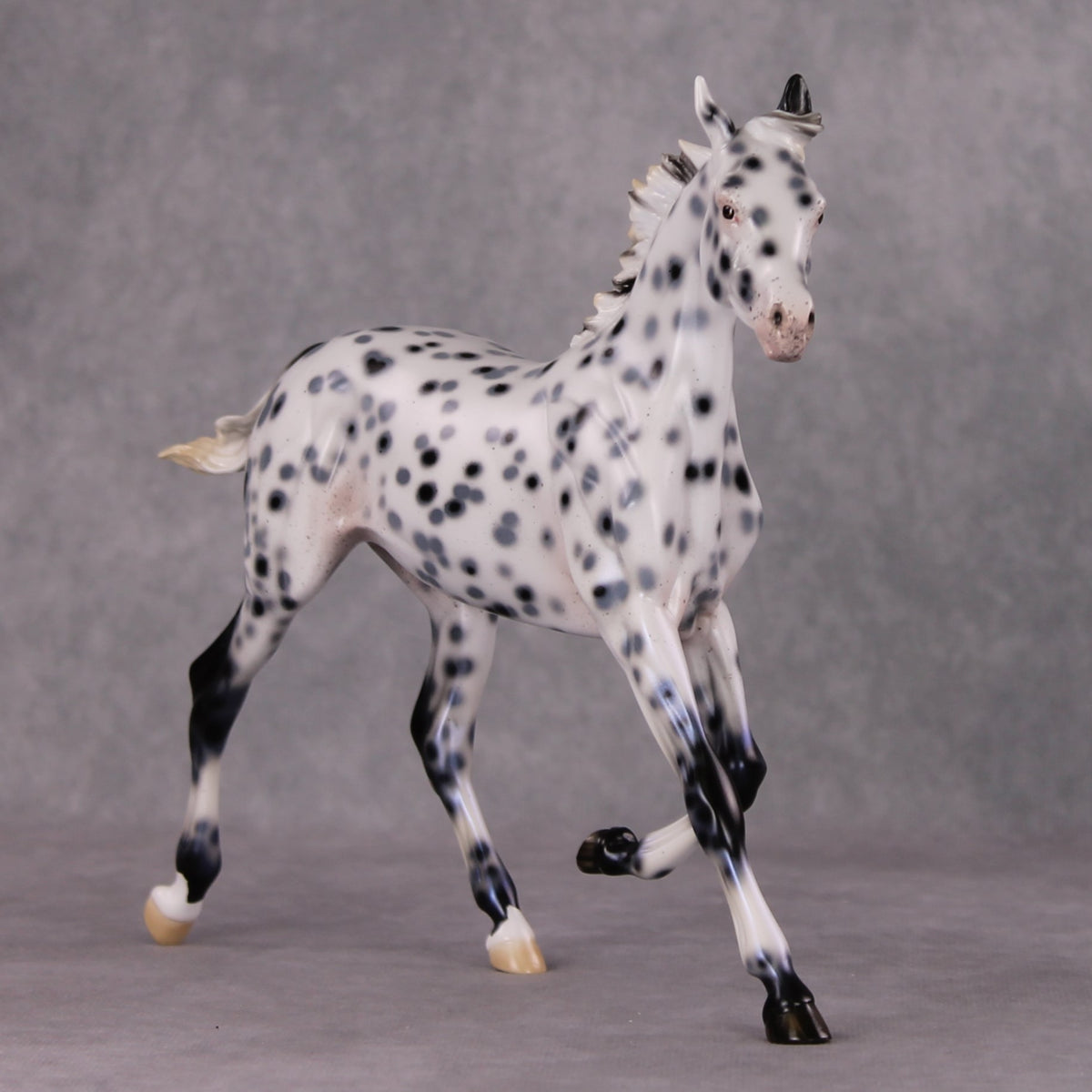 Black Ice OOAK Black Leopard Appaloosa Yearling By Ellen Robbins HS24