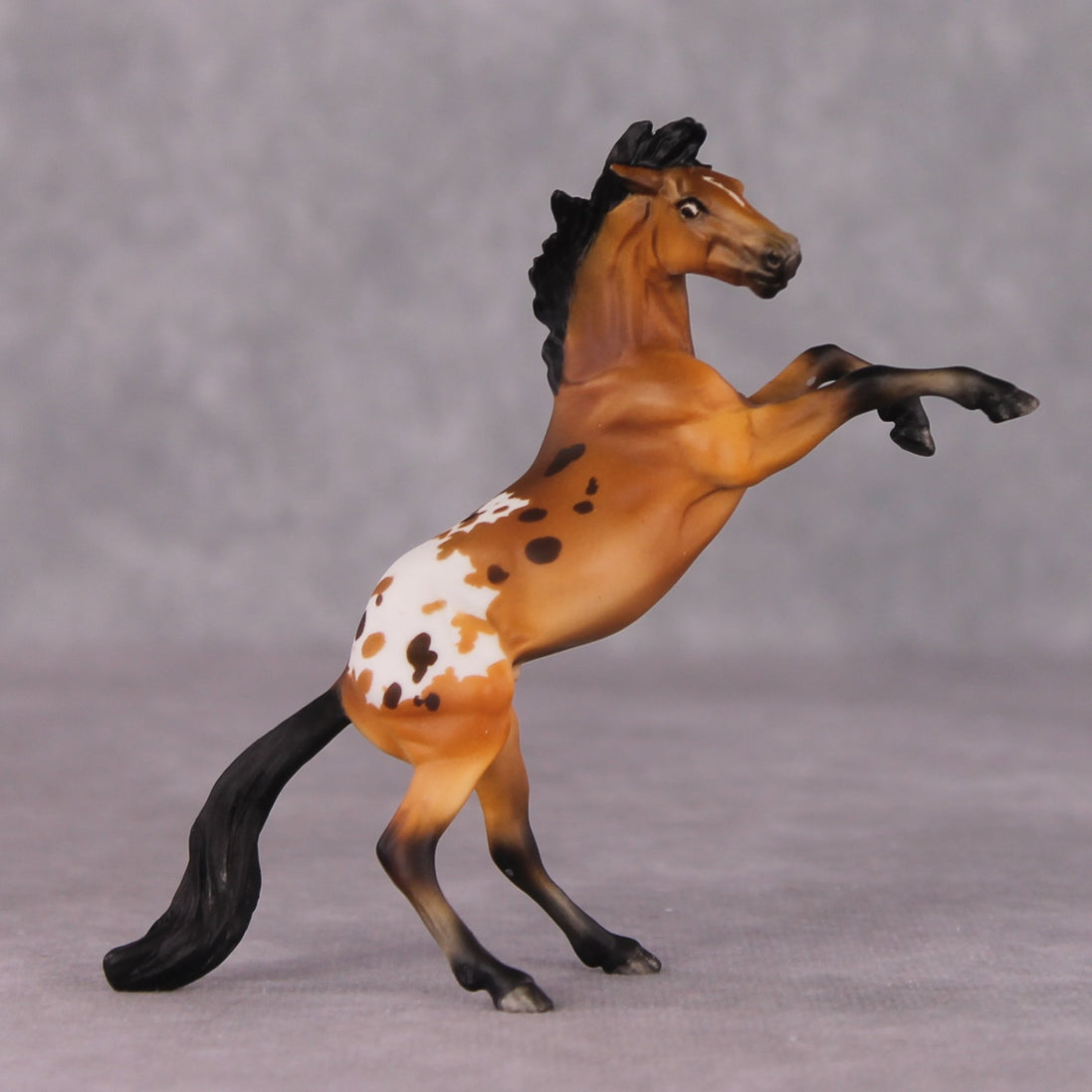 "Sir Francis Drake" OOAK Rearing Chip By Maggie Jenner-Bennett