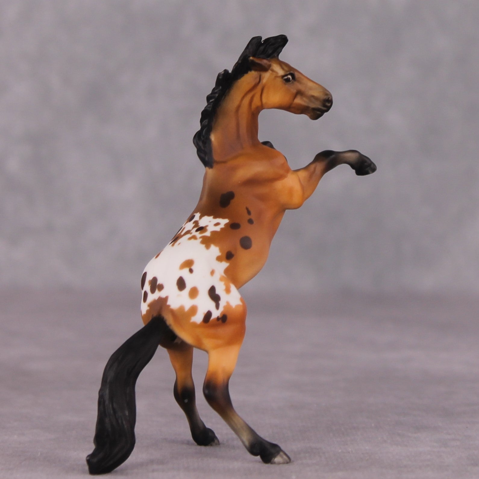 "Sir Francis Drake" OOAK Rearing Chip By Maggie Jenner-Bennett