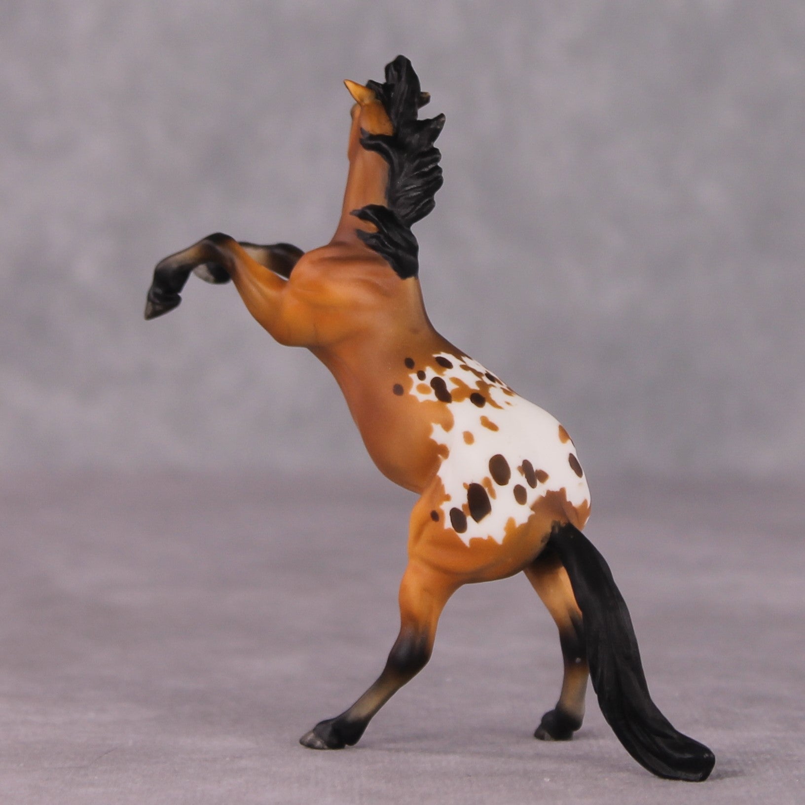 "Sir Francis Drake" OOAK Rearing Chip By Maggie Jenner-Bennett