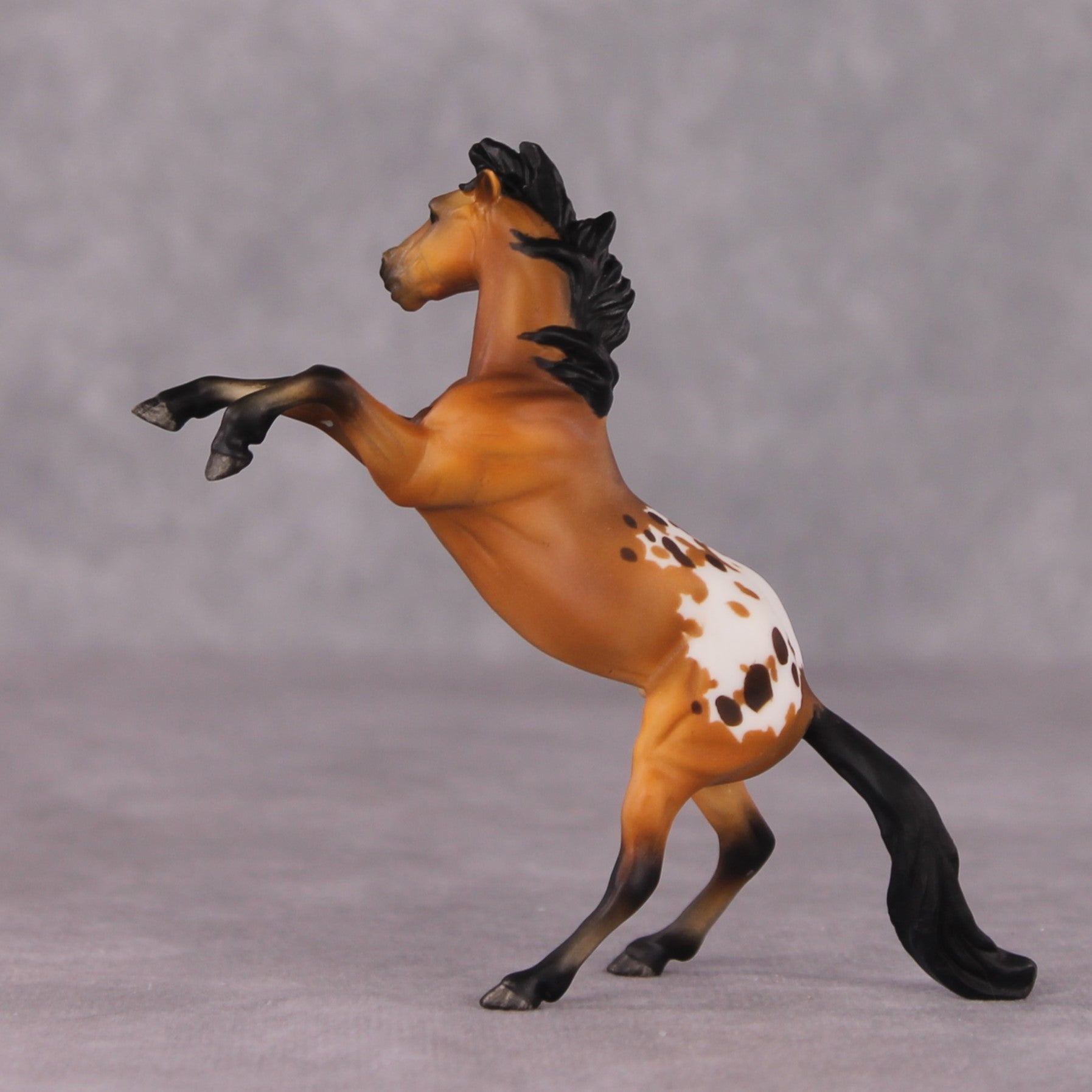 "Sir Francis Drake" OOAK Rearing Chip By Maggie Jenner-Bennett