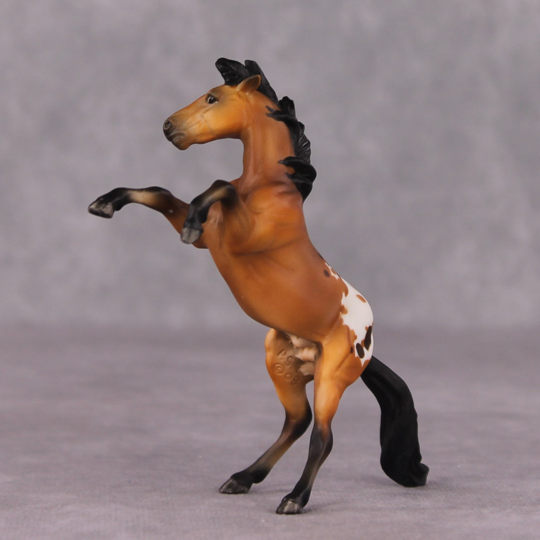 "Sir Francis Drake" OOAK Rearing Chip By Maggie Jenner-Bennett