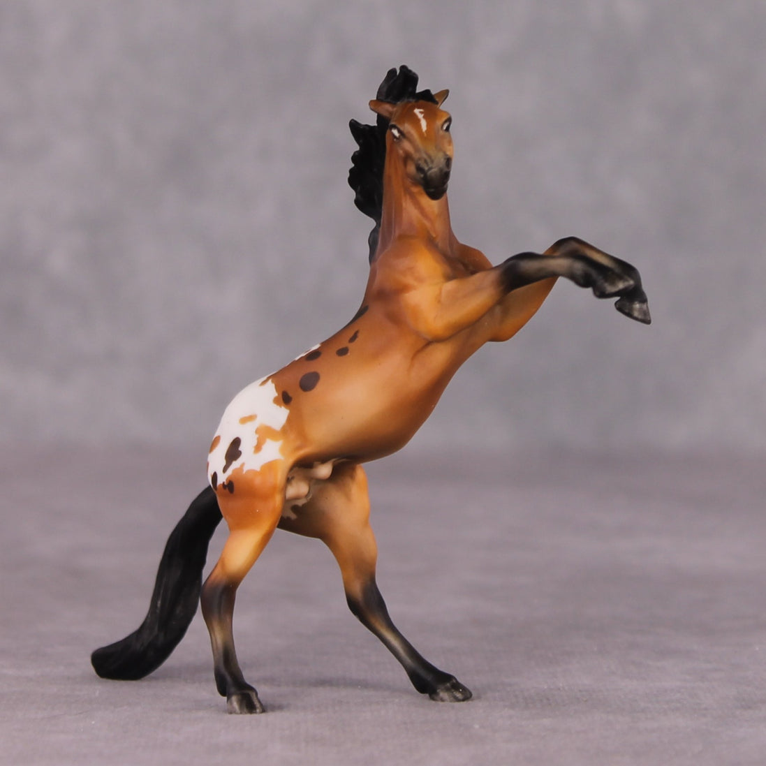 "Sir Francis Drake" OOAK Rearing Chip By Maggie Jenner-Bennett