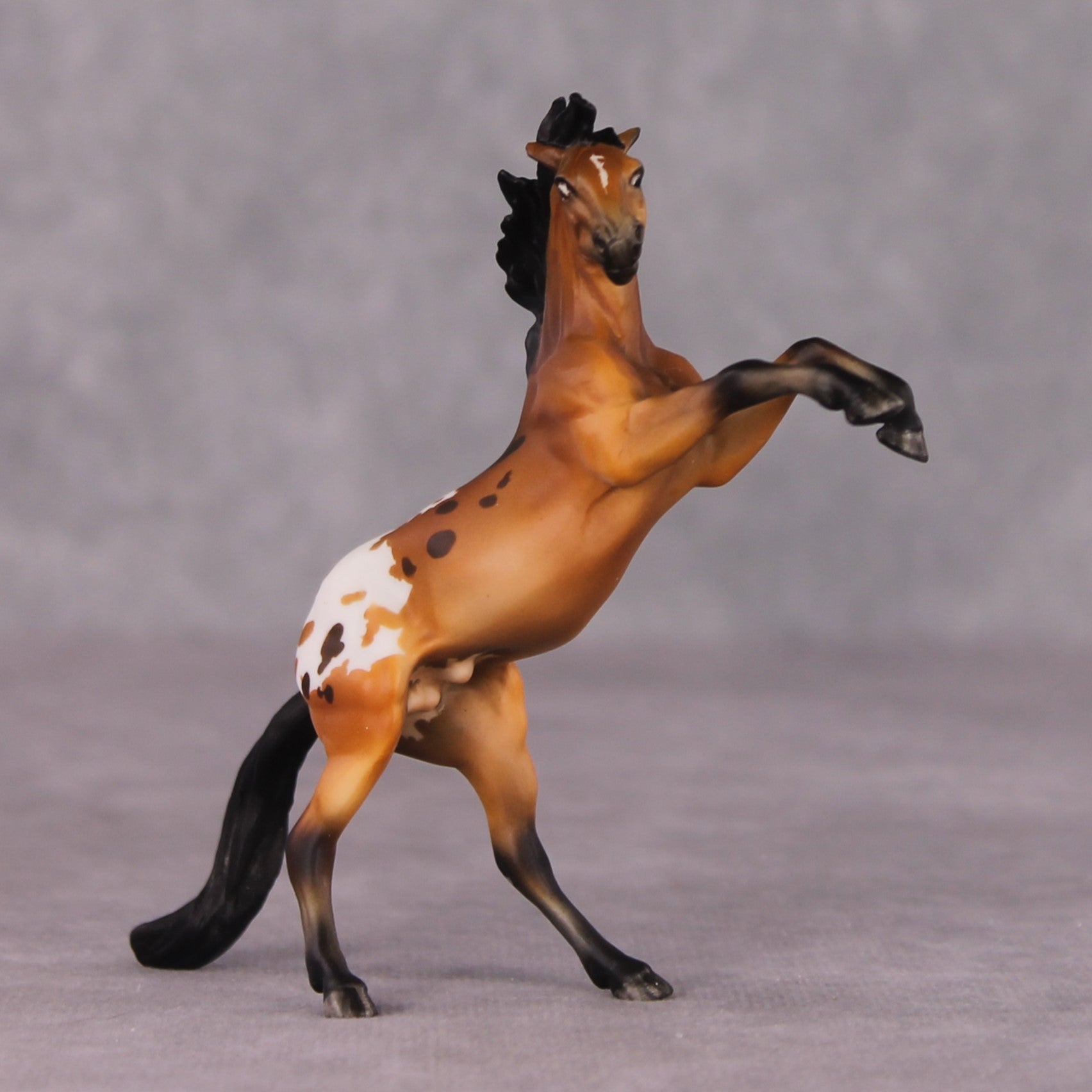 "Sir Francis Drake" OOAK Rearing Chip By Maggie Jenner-Bennett