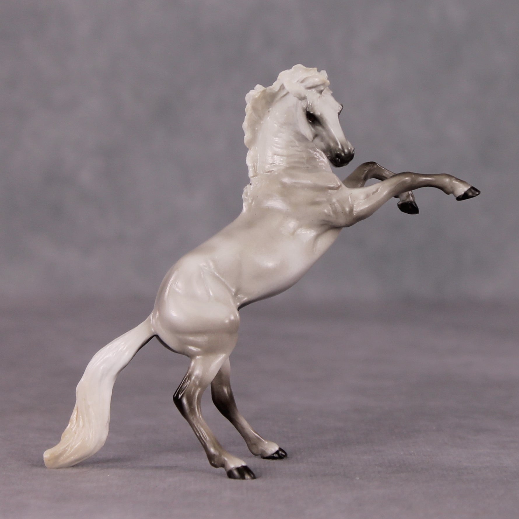 &quot;Beaufort&quot; OOAK FCM Rearing Chip By Maggie Jenner-Bennett