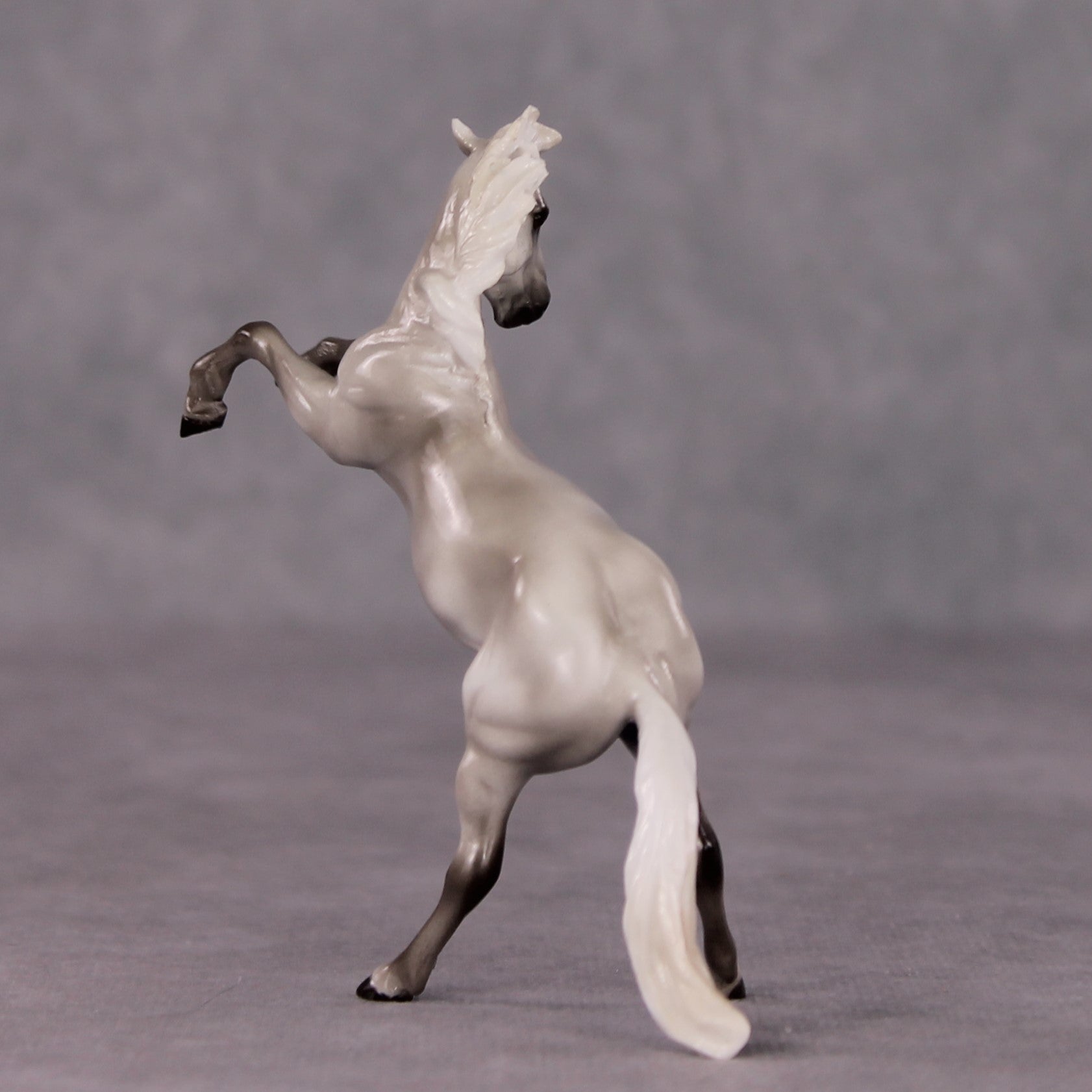 &quot;Beaufort&quot; OOAK FCM Rearing Chip By Maggie Jenner-Bennett