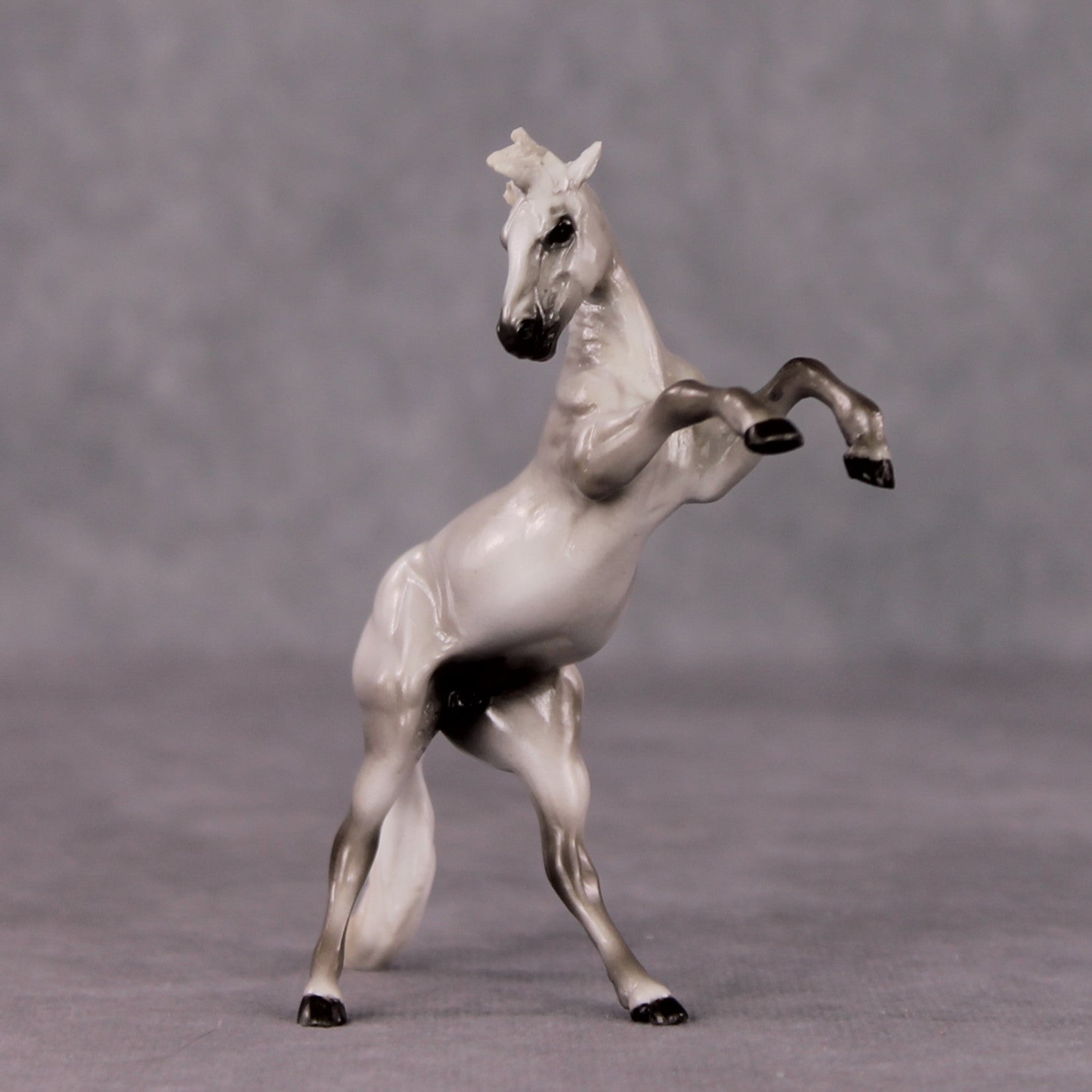 &quot;Beaufort&quot; OOAK FCM Rearing Chip By Maggie Jenner-Bennett