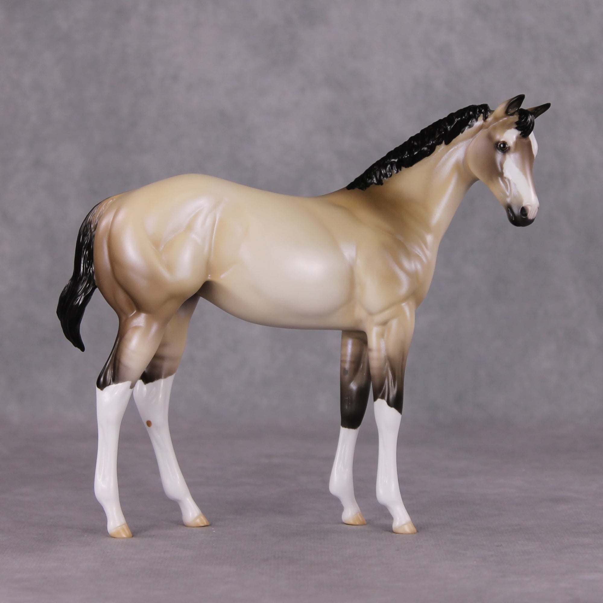 One Bright Star OOAK Dun W/ Blue Interference Weanling By Ellen Robbins HS24