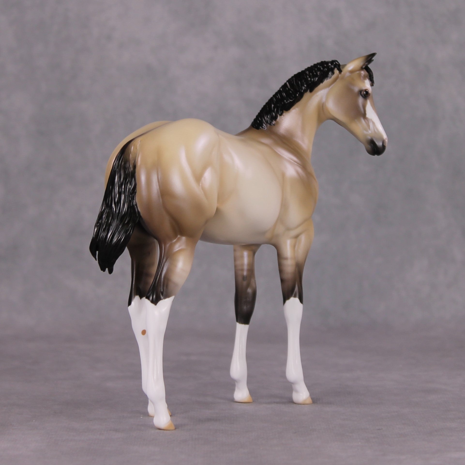 One Bright Star OOAK Dun W/ Blue Interference Weanling By Ellen Robbins HS24