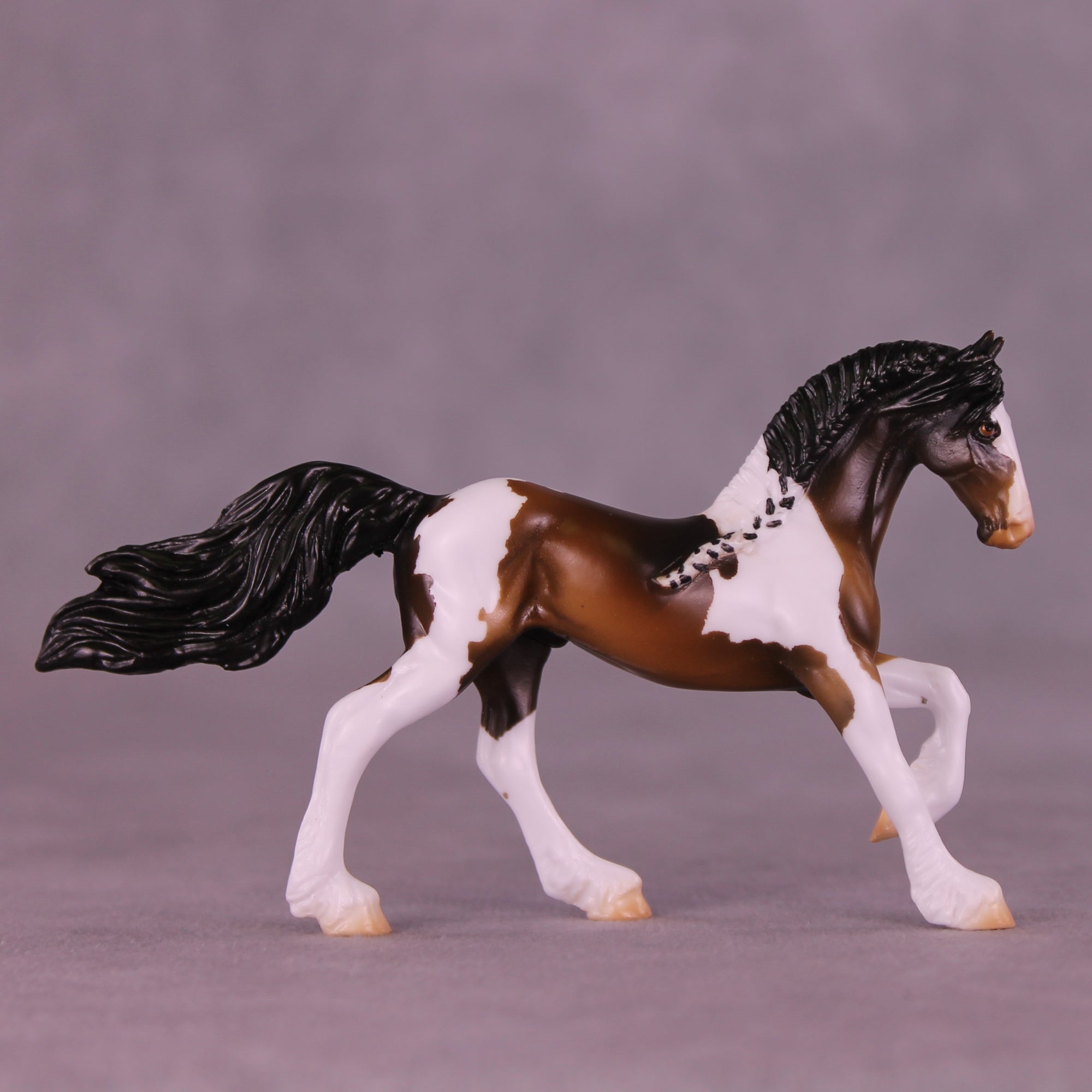 Chocolate Gelt LE-15 FCM Chip Friesian by Enrique Duarte HS25
