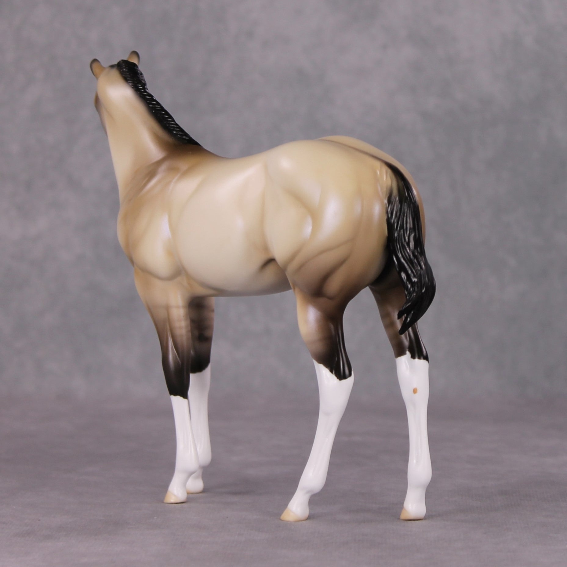 One Bright Star OOAK Dun W/ Blue Interference Weanling By Ellen Robbins HS24