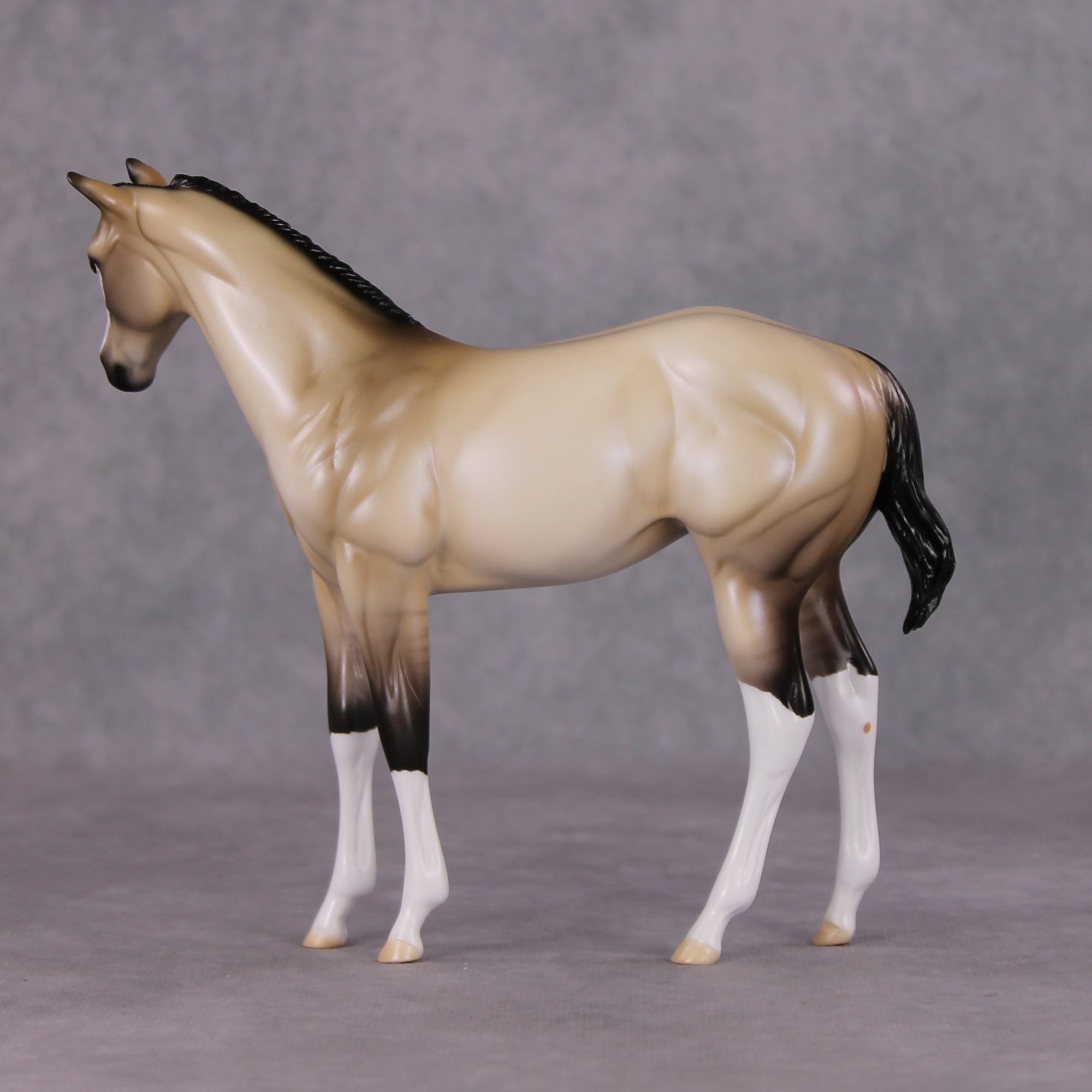 One Bright Star OOAK Dun W/ Blue Interference Weanling By Ellen Robbins HS24