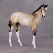 One Bright Star OOAK Dun W/ Blue Interference Weanling By Ellen Robbins HS24