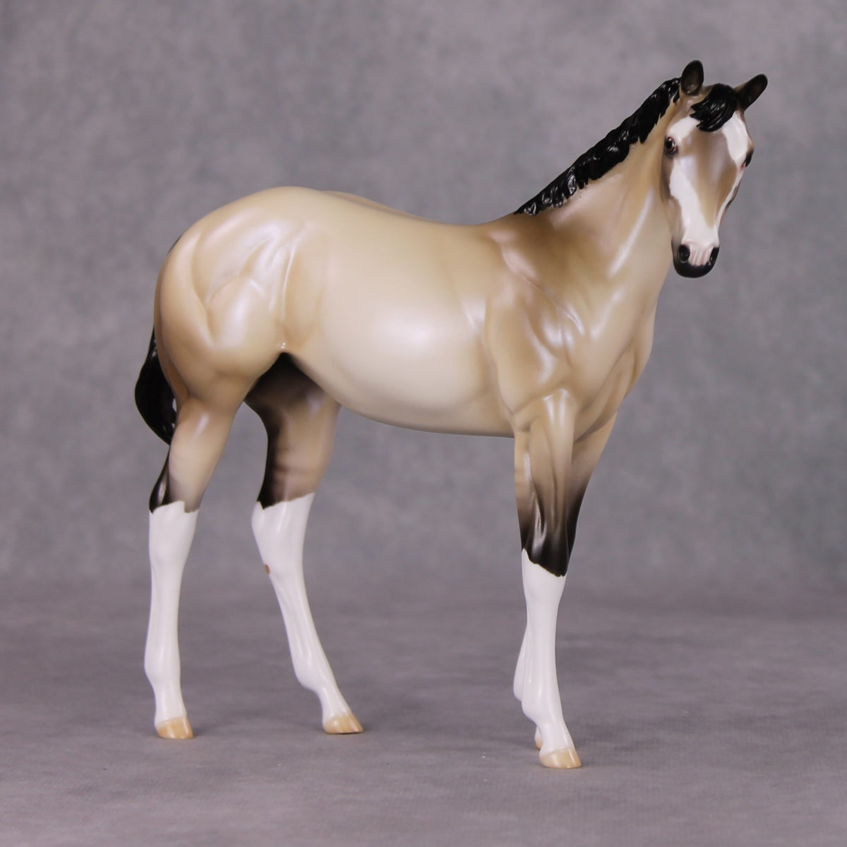 One Bright Star OOAK Dun W/ Blue Interference Weanling By Ellen Robbins HS24