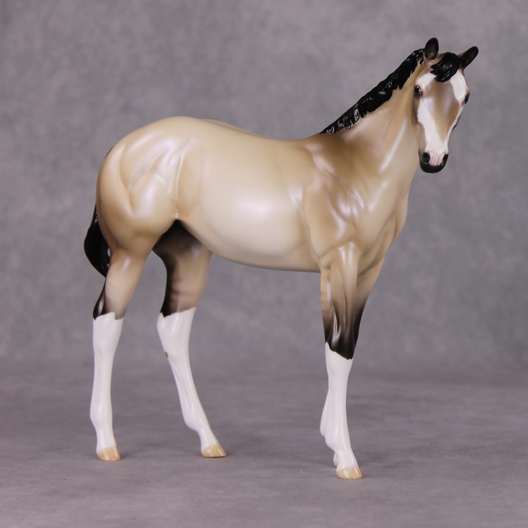 One Bright Star OOAK Dun W/ Blue Interference Weanling By Ellen Robbins HS24