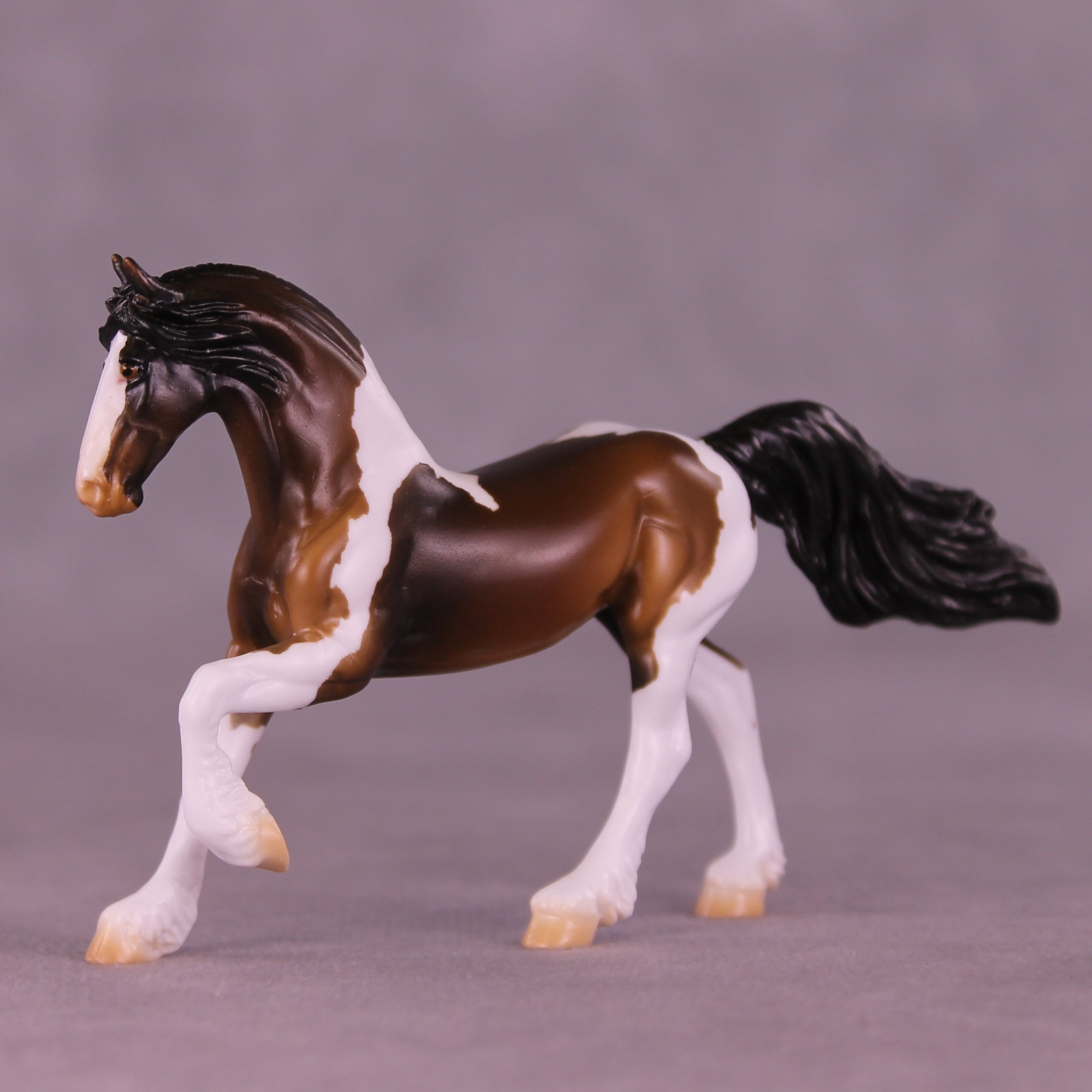 Chocolate Gelt LE-15 FCM Chip Friesian by Enrique Duarte HS25