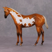 Cookies and Milk OOAK Chestnut Pinto Weanling By Jamie Adamson HS24