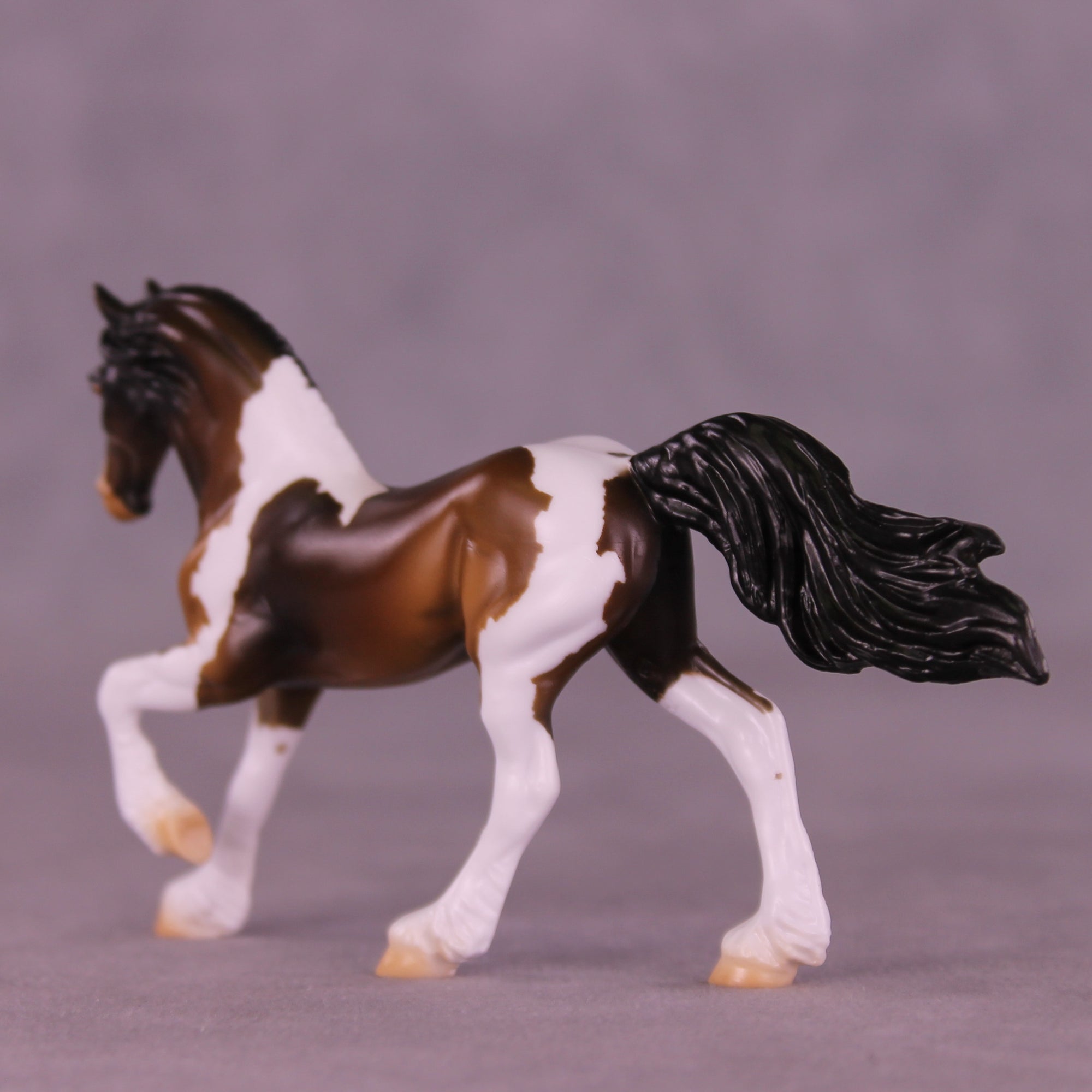 Chocolate Gelt LE-15 FCM Chip Friesian by Enrique Duarte HS25