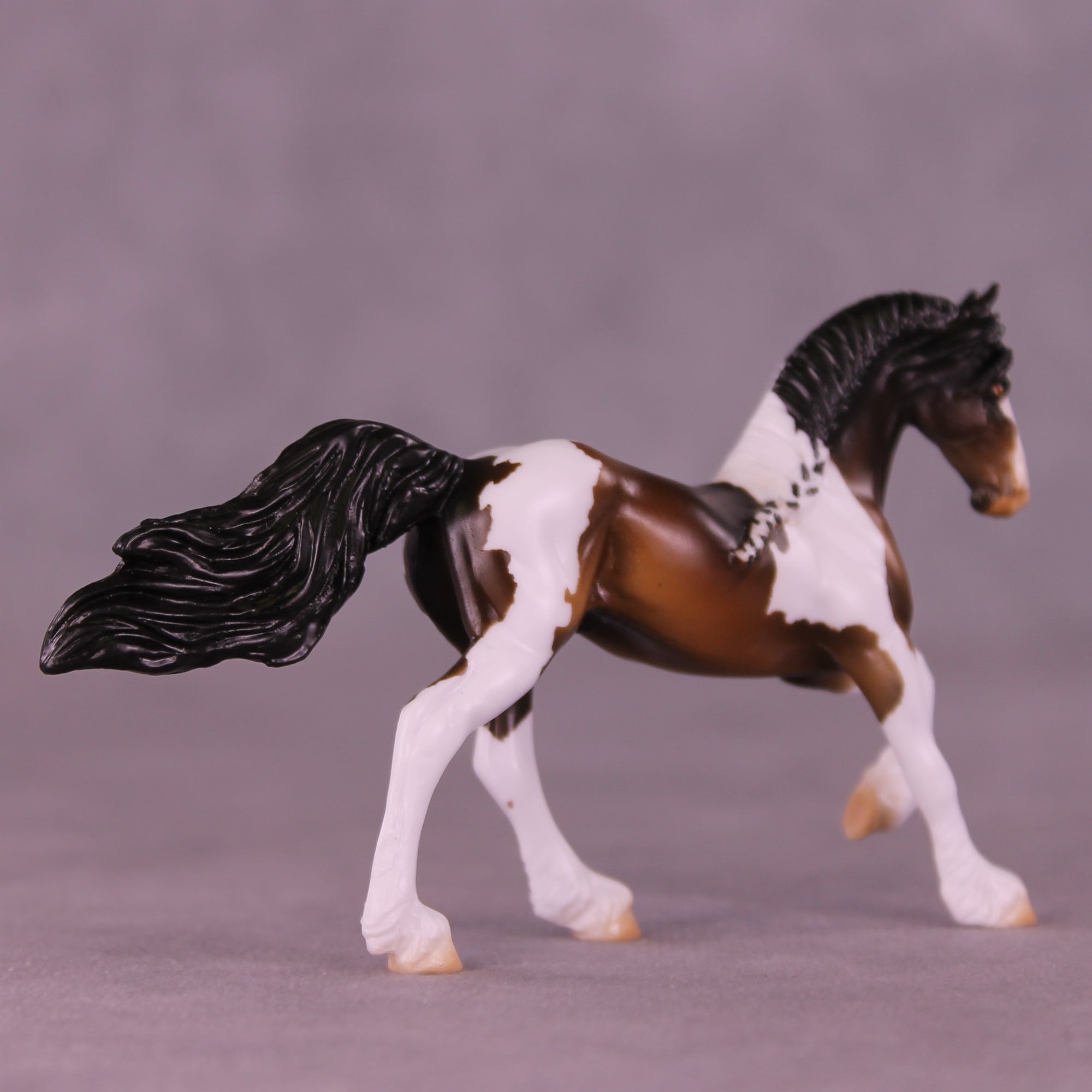 Chocolate Gelt LE-15 FCM Chip Friesian by Enrique Duarte HS25