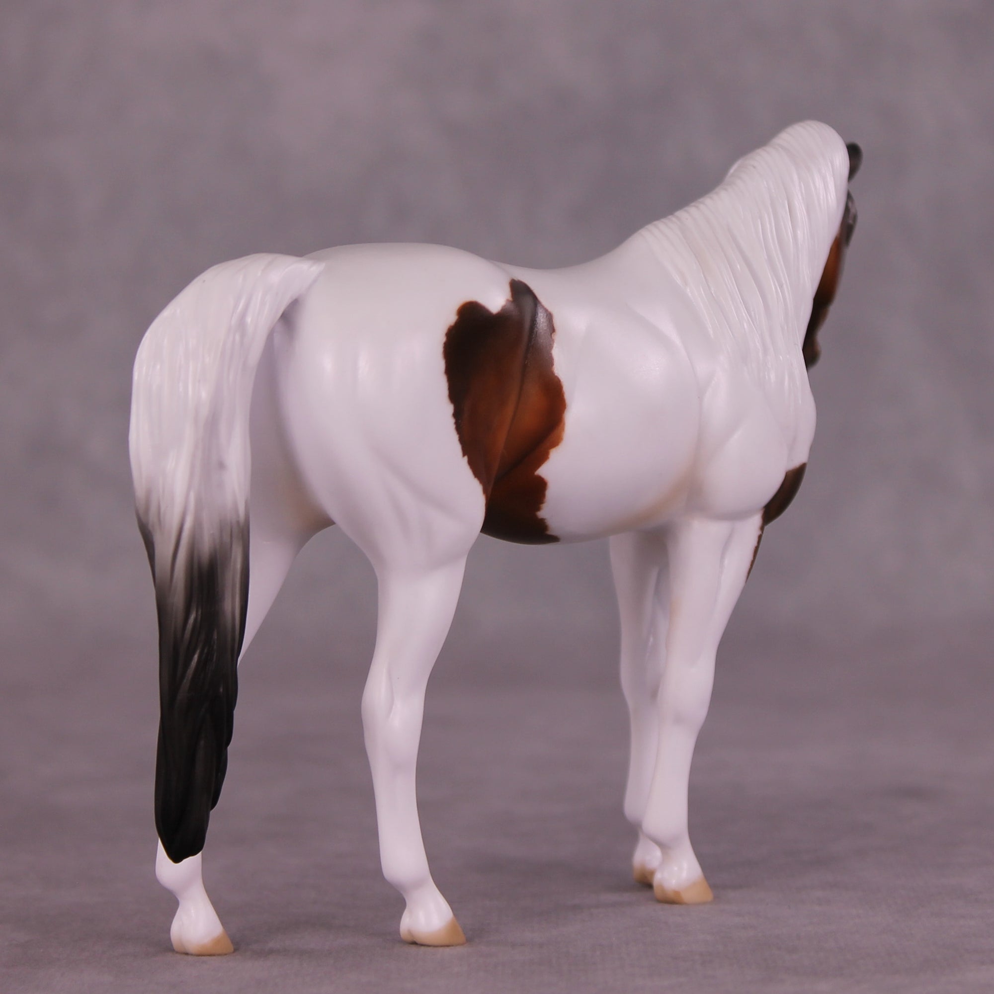 Lora OOAK Pebble Arabian by Julie Keim LHS25