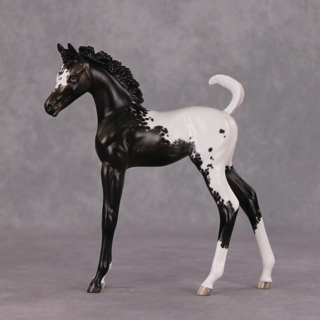 Snowproof OOAK Blanket Appaloosa Arabian Foal By Jess Hamill HS24 MHP Auction Piece