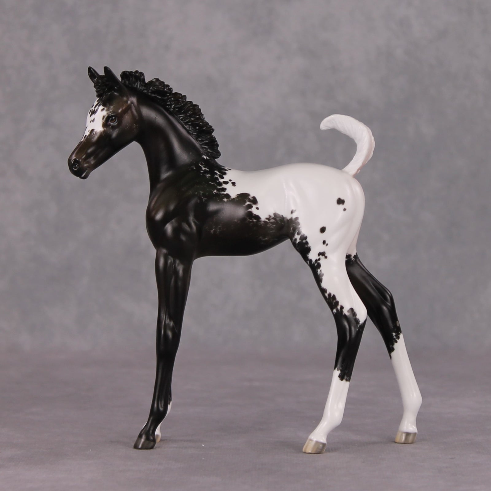 Snowproof OOAK Blanket Appaloosa Arabian Foal By Jess Hamill HS24 MHP Auction Piece