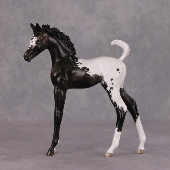 Snowproof OOAK Blanket Appaloosa Arabian Foal By Jess Hamill HS24 MHP Auction Piece