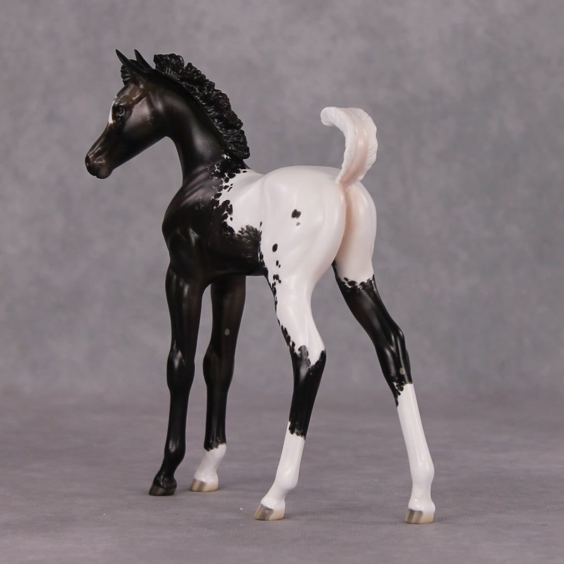 Snowproof OOAK Blanket Appaloosa Arabian Foal By Jess Hamill HS24 MHP Auction Piece