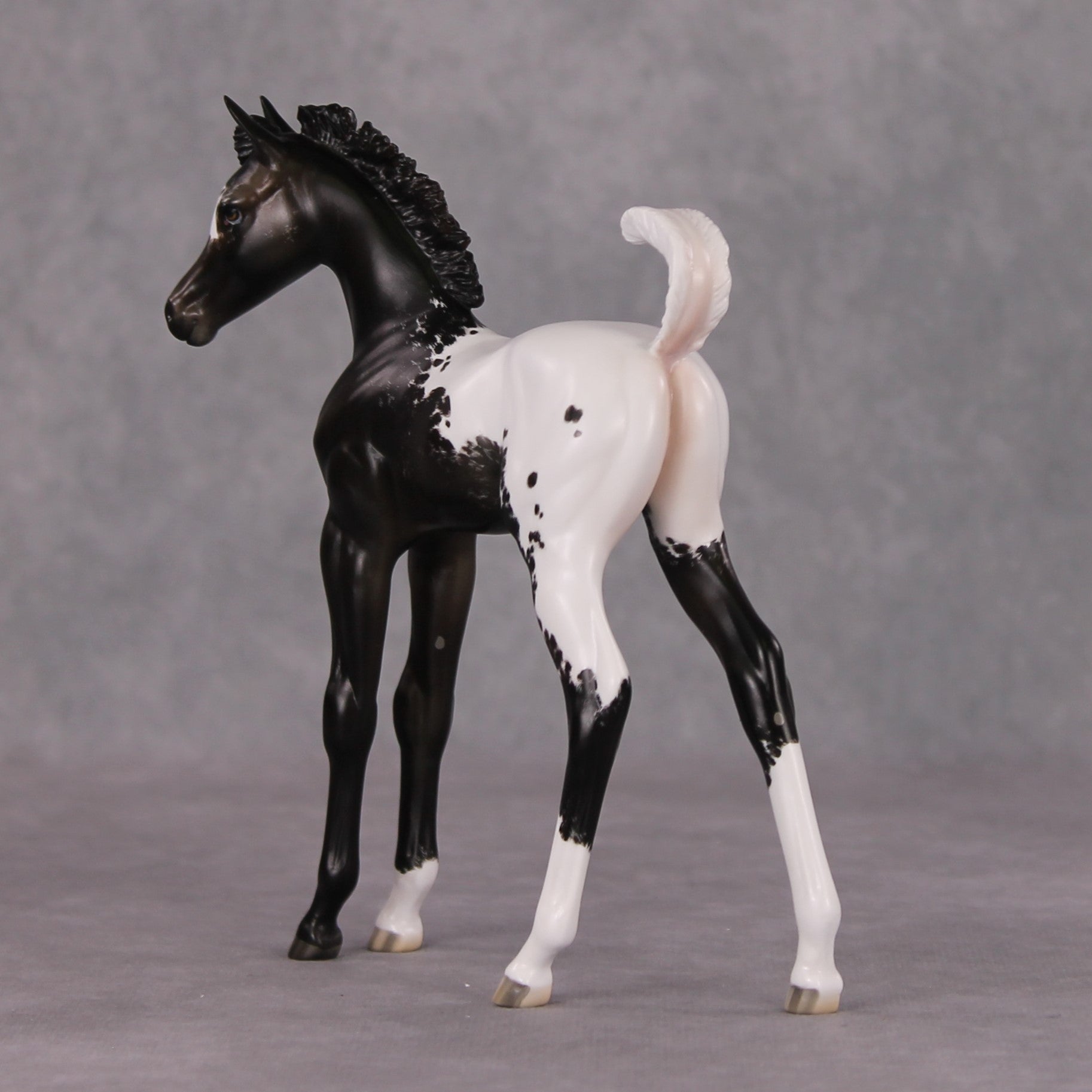 Snowproof OOAK Blanket Appaloosa Arabian Foal By Jess Hamill HS24 MHP Auction Piece