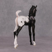 Snowproof OOAK Blanket Appaloosa Arabian Foal By Jess Hamill HS24 MHP Auction Piece