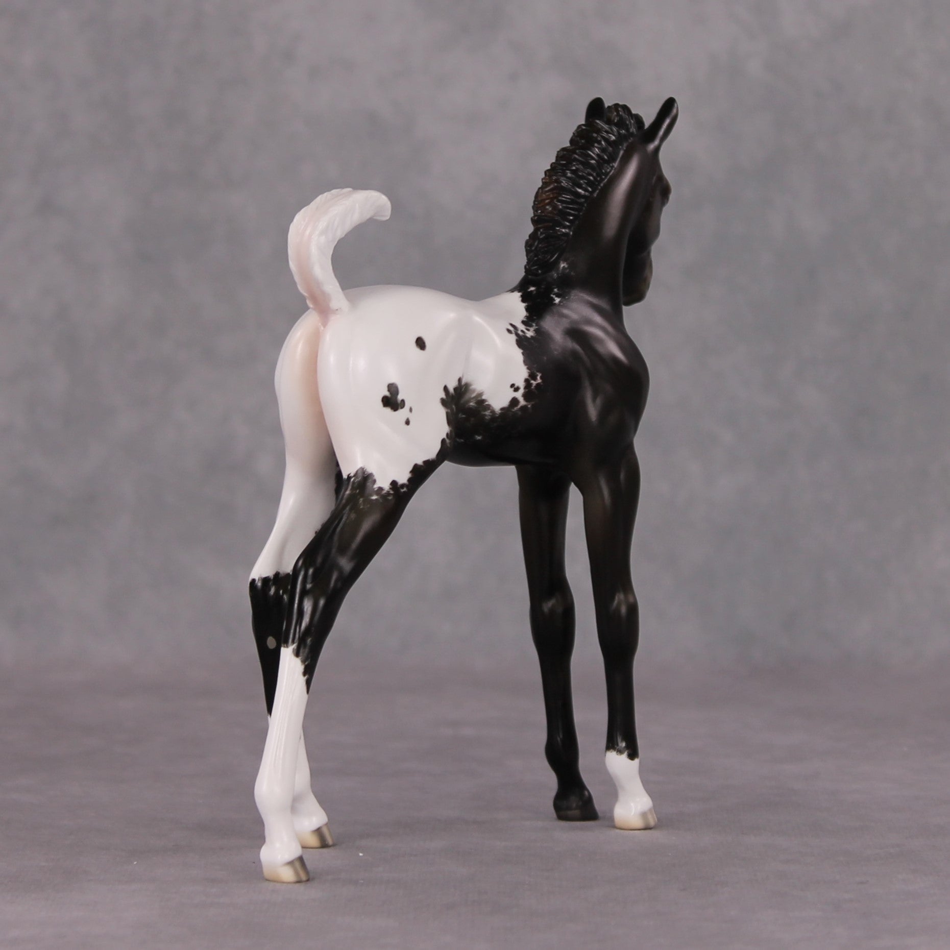 Snowproof OOAK Blanket Appaloosa Arabian Foal By Jess Hamill HS24 MHP Auction Piece