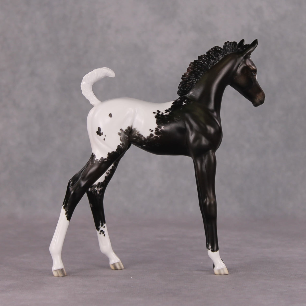 Snowproof OOAK Blanket Appaloosa Arabian Foal By Jess Hamill HS24 MHP Auction Piece