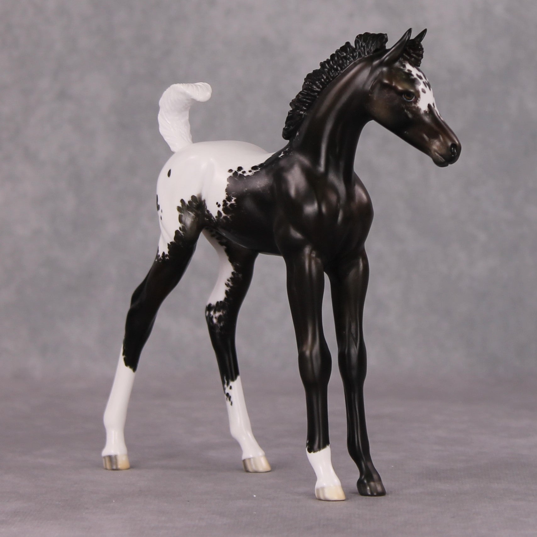 Snowproof OOAK Blanket Appaloosa Arabian Foal By Jess Hamill HS24 MHP Auction Piece