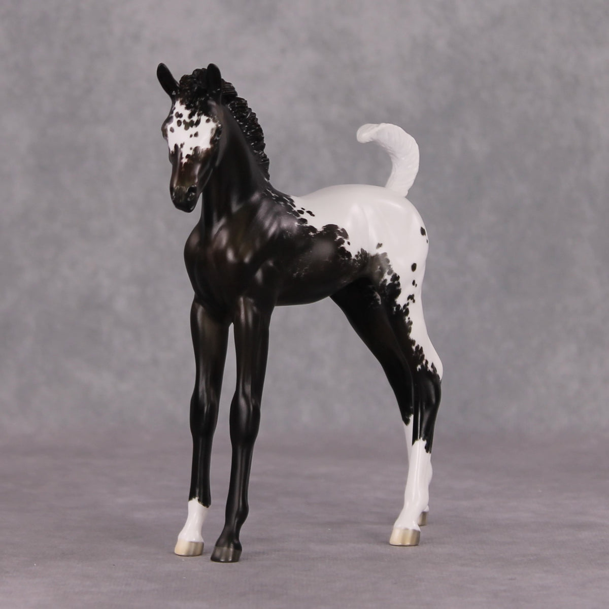 Snowproof OOAK Blanket Appaloosa Arabian Foal By Jess Hamill HS24 MHP Auction Piece