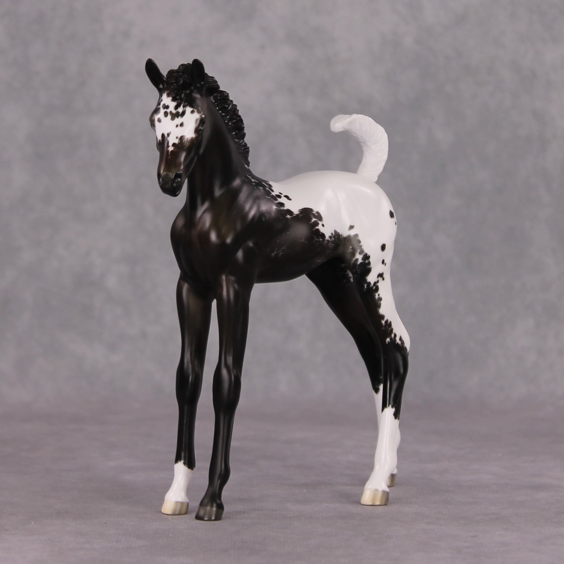 Snowproof OOAK Blanket Appaloosa Arabian Foal By Jess Hamill HS24 MHP Auction Piece