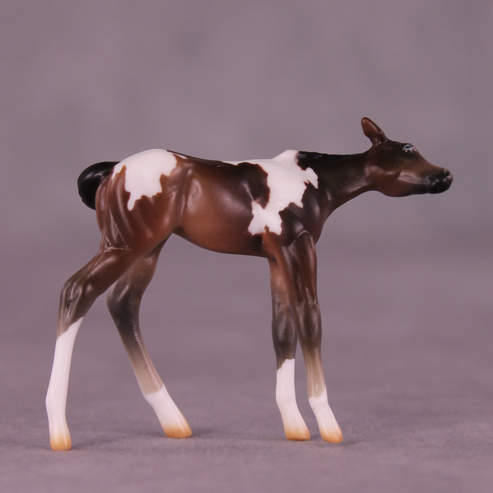 Paparazzi &amp; Flash Photography Set OOAK EFCM Chip Set by Erika Isbell Best Offer 10/7/25