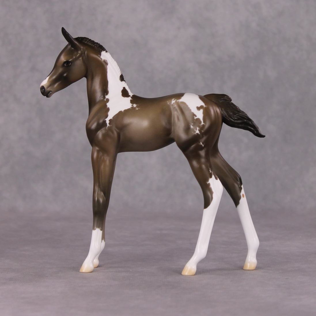 Midwinter OOAK Chestnut Pinto Arabian Foal By Jess Hamill HS24