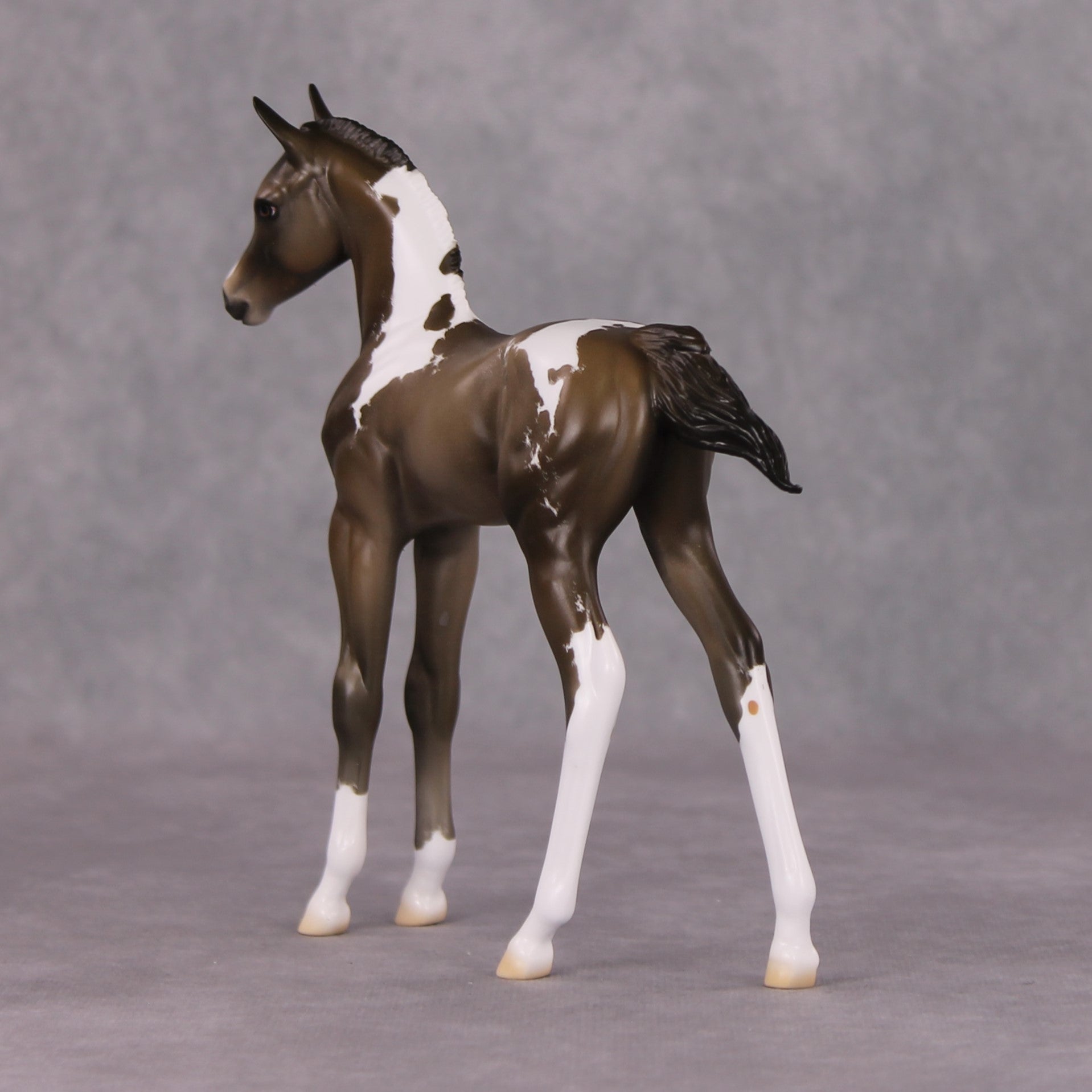 Midwinter OOAK Chestnut Pinto Arabian Foal By Jess Hamill HS24