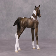 Midwinter OOAK Chestnut Pinto Arabian Foal By Jess Hamill HS24